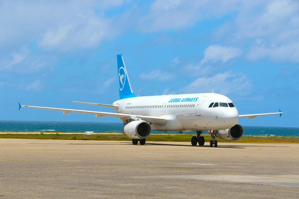 Explorez l'Antarctique: Le Guide Indispensable pour les Photographes en Croisière